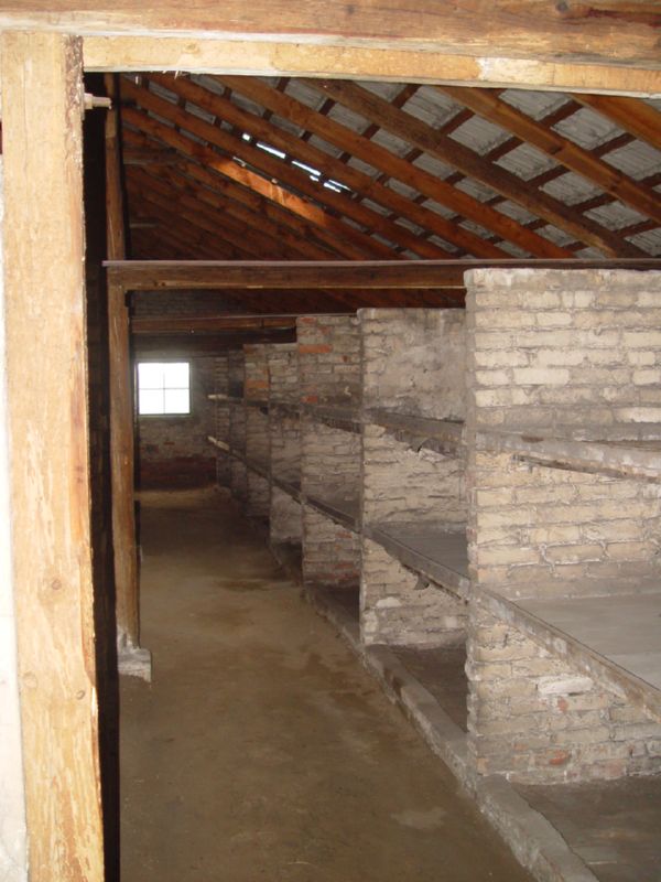DSC04021Birk Bunks
